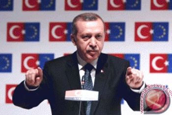 PM Turki ingatkan aksi polisi dalam protes taman Istanbul