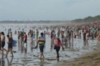 CNTA : Wisatawan Tiongkok Ke Indonesia Naik