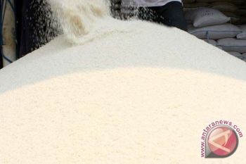 LPSK Minta Pihak Kepolisian Hati-Hati Periksa Pelapor Beras Plastik