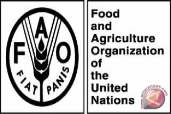 Fao nilai Indonesia mampu turunkan tingkat kelaparan