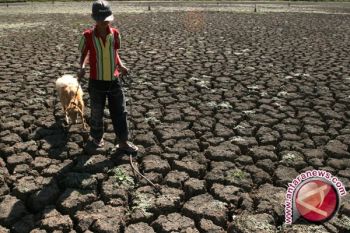 Daerah perbukitan di Bantul rawan kekeringan