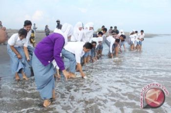 36 ekor tukik dilepas di Pantai Trisik