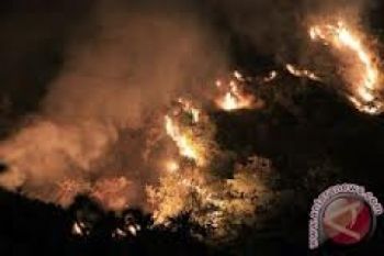 Kebakaran Lahan di Riau Makan Korban