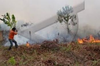 Pelaku Pembakar Lahan akan Dipidana