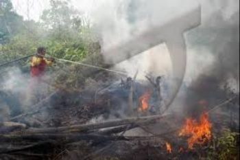 Pengusaha Kehutanan Dinilai Tanggap Kendalikan Kebakaran