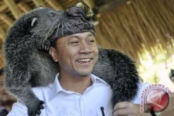 Pemerintah Upayakan Bom dan Hujan Atasi Asap