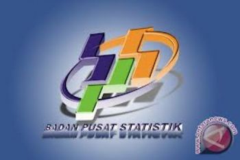 BPS Solok Selatan Lakukan Pemutakhiran Data Pertanian