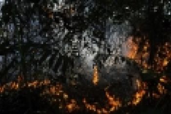 Polda Riau Serahkan Kasus Kebakaran Lahan ke KLH