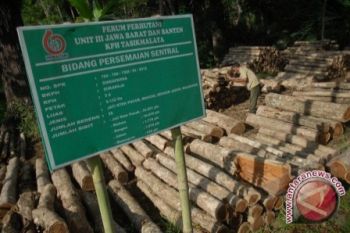 BUMN Kehutanan antara tugas dan mati suri