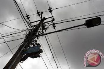 Jepang Lirik Pekanbaru Bangun Pabrik Biokelapa Sawit