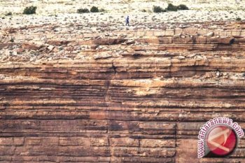 Wisatawan berusia 67 tahun tewas  terperosok di Grand Canyon