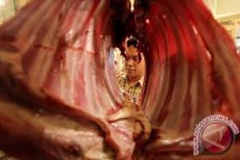 RNI Gandeng Merpati Angkut Daging Sapi