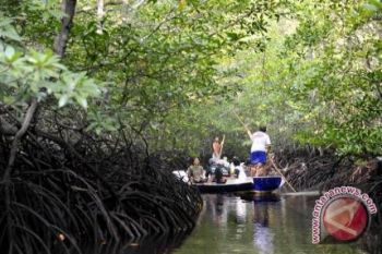 48,8 juta penduduk Indonesia tinggal di hutan 