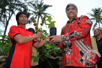Nestle Bantu Petani Tanggamus Jutaan Bibit Kopi
