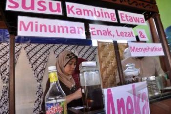 Pemkab Optimalkan Sosialisasi Susu Kambing 