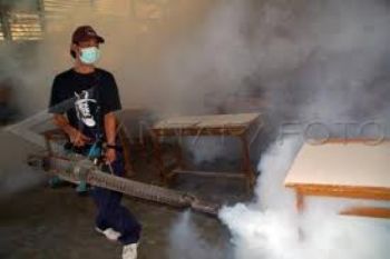 Dinkes Semarang Waspadai Lonjakan Kasus DBD