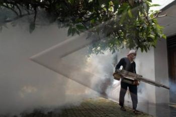Terjangkit DBD, Temanggung Galakkan Pengasapan