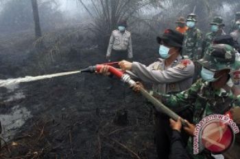 14 Pembakar Lahan Ditangkap