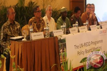 Indonesia luncurkan indeks tata kelola hutan komprehensif