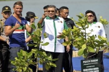 Presiden: Jaga Hutan Bakau Nasional