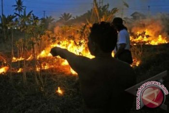 Warga Bakar Lahan