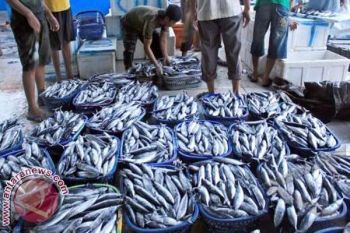 Musim Ombak Harga Ikan di Gorontalo Naik