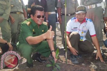 Wabup Mamuju Diberi Penghargaan Penyelamat Lingkungan 