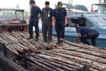Penyelundupan Kayu/Foto Rusdianto