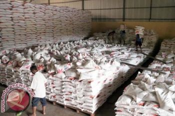 Kepala Dinas : Stok Beras Aman Jelang Ramadhan