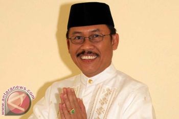Hama Babi Serang Tanaman Jagung Petani Mamuju 