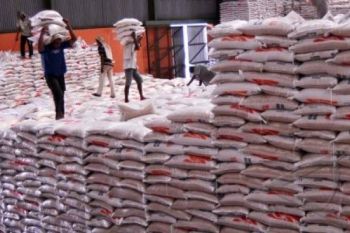 Stok Beras Bulog Aman hingga 2015