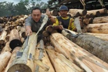 Hutan Rakyat Jombang-Magetan Lulus Sertifikasi Ekolabel