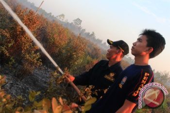 Kebakaran Lahan Kembali Terjadi Di Palangka Raya 