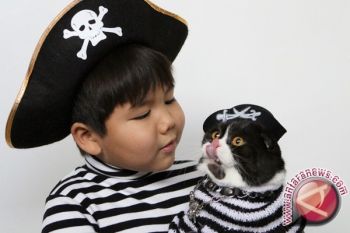  Interaksi dengan hewan bangun kecerdasan anak