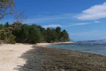 Pesisir Selatan Upayakan Pembangunan Batu "Jetty" Di Sutera