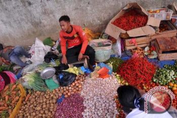 Pemkab Musirawas jadikan bawang merah komoditas unggulan 