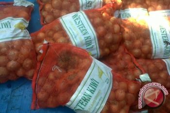 Korem Tangkap Truk Bawa Bawang Bombay Ilegal