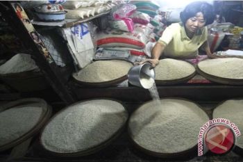 Masyarakat Kotim Tidak Tertarik Dengan Beras Lokal? Ini Alasannya 