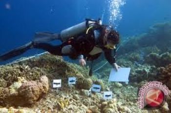 Donggala Kembangkan Wisata Laut Dan Danau 