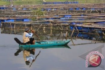Pembudidaya ikan di OKI dibantu pakan  