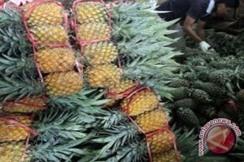 Nanas Diborong Untuk Bahan Kue Lebaran