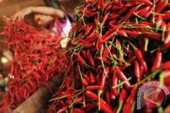 Harga Daging dan Cabai Rawit di Pekanbaru Mulai Turun