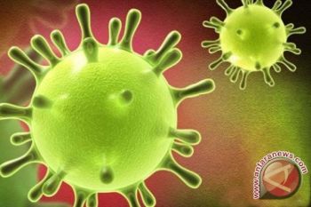  Norovirus Menyebar Di rumah Sakit Norwegia Selatan