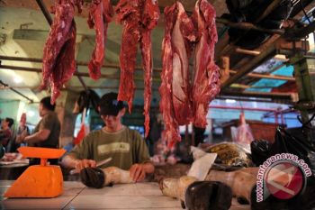 Harga daging sapi di Palembang masih tinggi