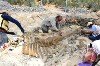 Dinosaurus Ditemukan Di Utah Masih Kerabat T. Rex