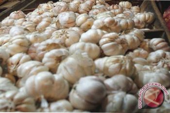  Petani Bawang Dilatih "Audio Bioharmonic System"