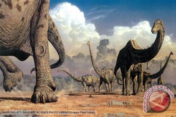 Ekor Dinosaurus Ditemukan