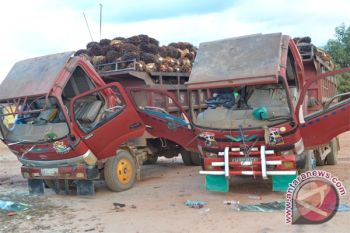 Bupati: Keributan Di Perkebunan Sudah Diselesaikan 