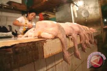Harga Daging Ayam Potong Di Buntok Naik 