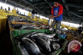 Potensi Hasil Perikanan Barsel Cukup Besar 
